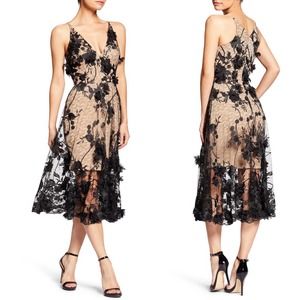 DRESS THE POPULATION Audrey A-Line Dress in Black Nude Floral Lace Size Medium